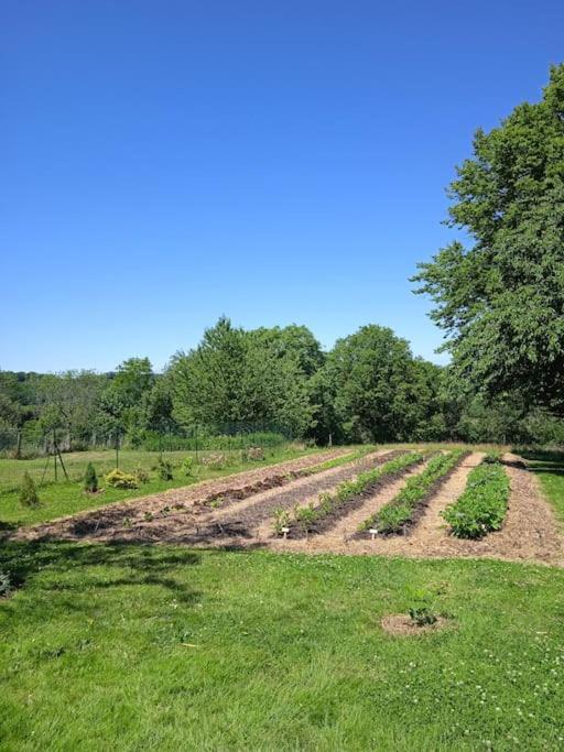 Les Jardins Des 3 Provinces- Gite Montcharvot Ngoại thất bức ảnh