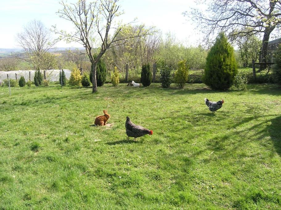 Les Jardins Des 3 Provinces- Gite Montcharvot Ngoại thất bức ảnh