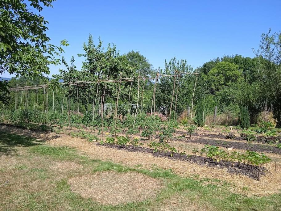 Les Jardins Des 3 Provinces- Gite Montcharvot Ngoại thất bức ảnh