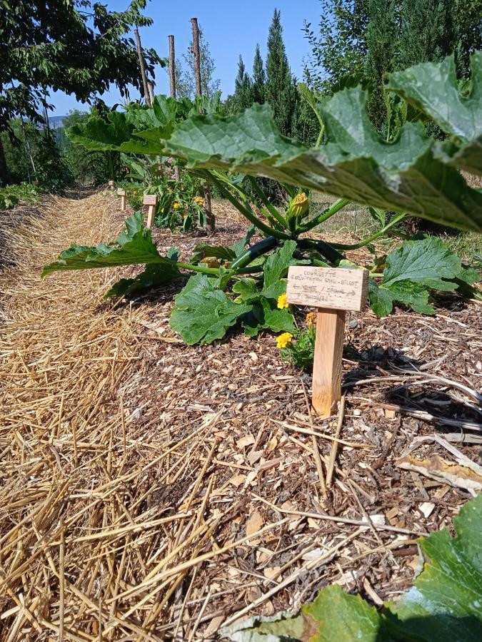Les Jardins Des 3 Provinces- Gite Montcharvot Ngoại thất bức ảnh